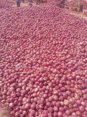 169e203b-6485-4fac-9354-bae3c6570fec