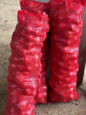 180a8100-cd4b-4545-beaf-b781ee27dcde